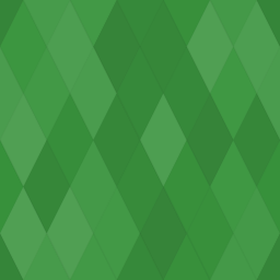 4DUser SEO logo