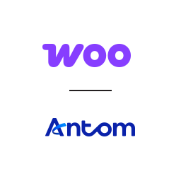 Antom Payments logo