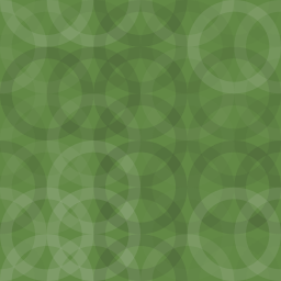 BloomImages logo