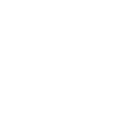Custom post types, Custom Fields & more logo