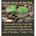 Visual Bible Verse of the Day Widget logo