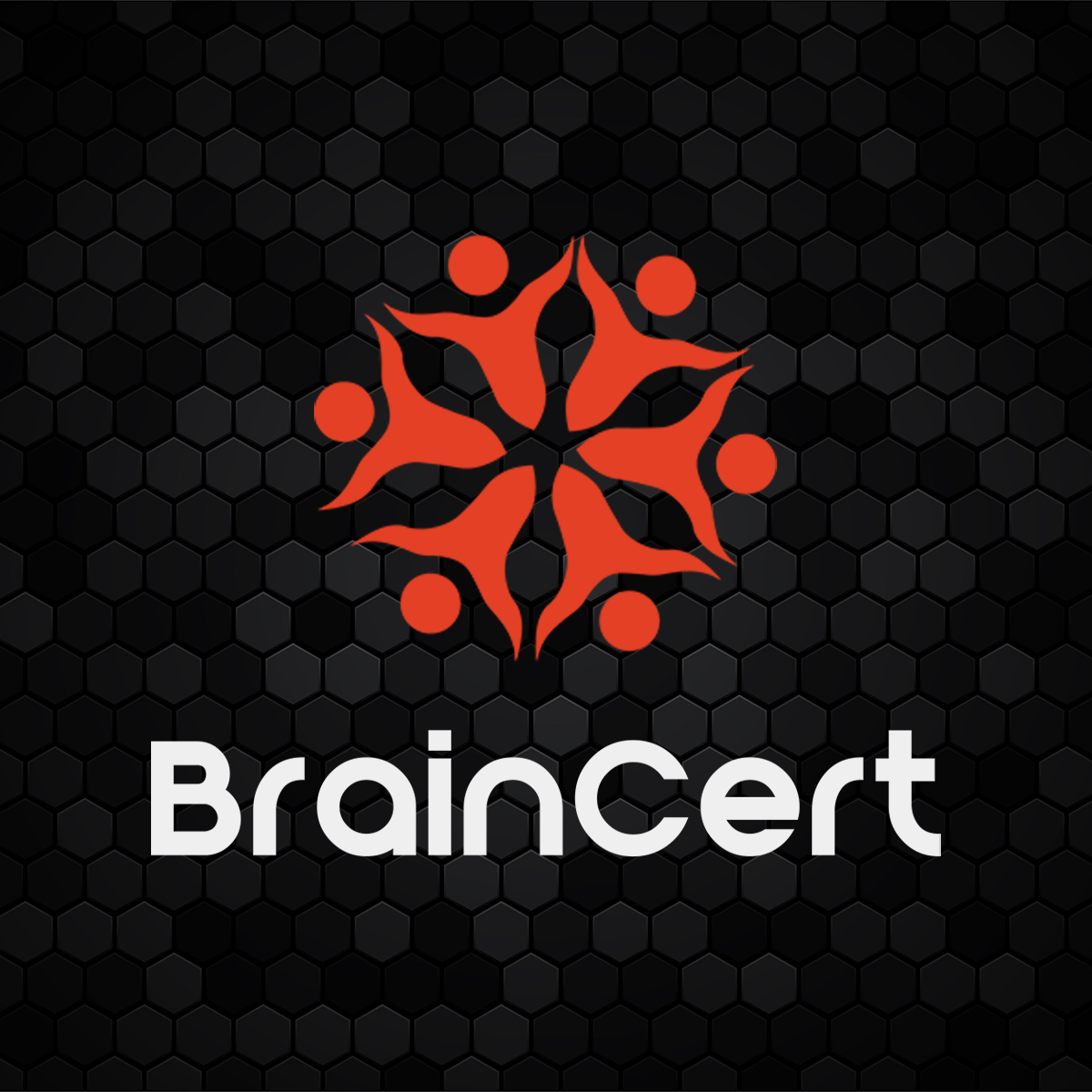 BrainCert Virtual Classroom logo