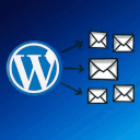 Pinny's Multi Admin – Add Multiple Admin Emails logo