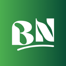 Blog News Addons For Elementor (News, Magazine and Blog Addons) logo