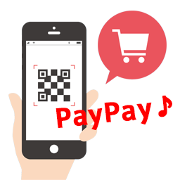 Payment Gateway PayPay for WooCommerce logo