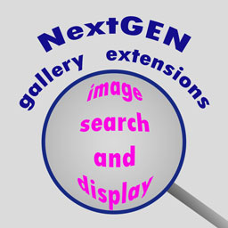 NGG Smart Image Search logo