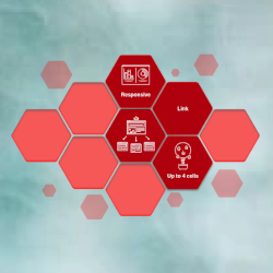 Hexagon Navigation Lite logo