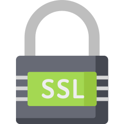 Simple HTTPS logo