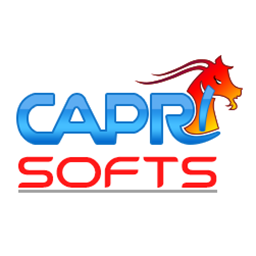 Capri Widget Visibility logo
