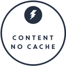 Content No Cache | Serve uncached partial content even when you add it to a page that is fully cached. logo
