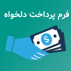 پلاگین پرداخت دلخواه logo