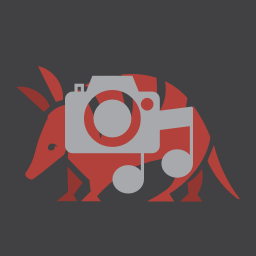 AAM Protected Media Files logo