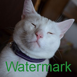 Watermark RELOADED logo