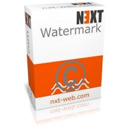 Next Watermark logo