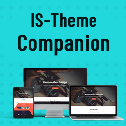 IS-theme-companion logo