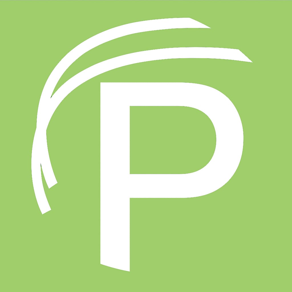 Paid-Cash logo