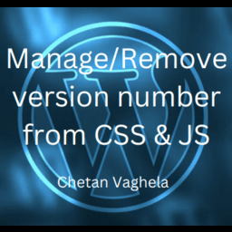 Manage/Remove version number from CSS & JS logo
