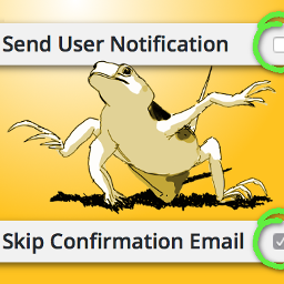 Skip Confirmation On logo