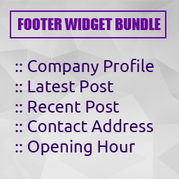 Footer Widget Bundle logo