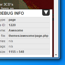 Simple Debug Info Panel logo