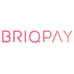 Briqpay for WooCommerce logo