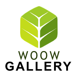 WoowGallery logo