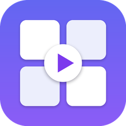 Video Grid logo