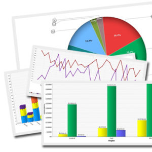 Ni WooCommerce Sales Report logo