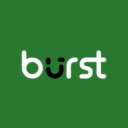 Burst Statistics – Simple WordPress Analytics (Google Analytics Alternative) logo