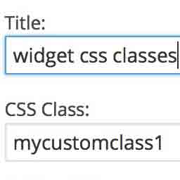 Widget CSS Classes logo