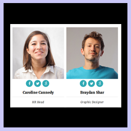 Team Showcase – Responsive Team Members Grid, Slider & Carousel Plugin logo