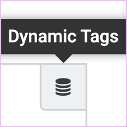 Dynamic Content for WP Job Manager & Elementor logo
