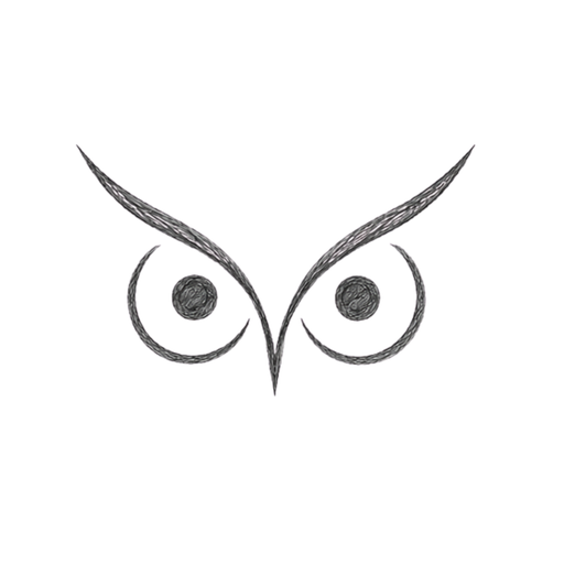 AI Chat & Booking by Owlixi logo