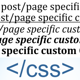 Post/Page Specific Custom Code logo