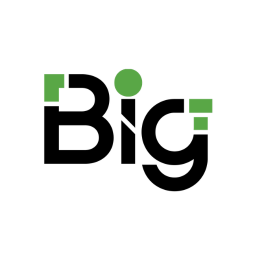 Big SEO Programmatic logo