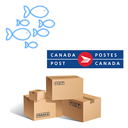 Canada Post Shipping For WooCommerce logo