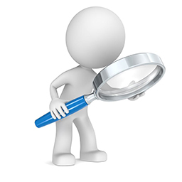 SEO Audit – WP Site Auditor logo
