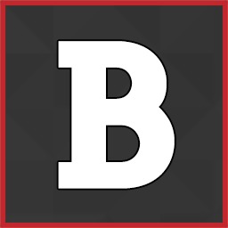 BackUpWordPress logo