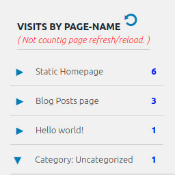 Page Visits Counter – Lite logo