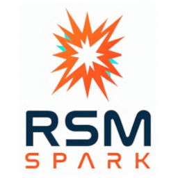 RSM Content Widgets logo