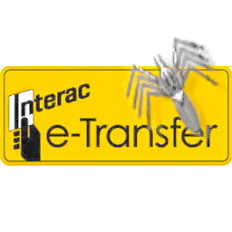 BLAZING Email Transfer Payment Gateway logo