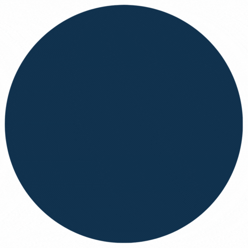 ExtenderX – Accessibility, Block Animations & Site Enhancements logo
