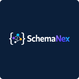 SchemaNex logo