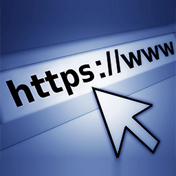Simple Force SSL logo