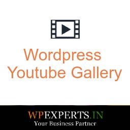 WP Youtube Gallery logo