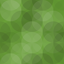 Image Attributes Manager logo