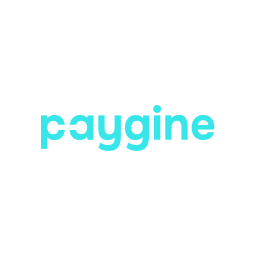 Paygine payment logo