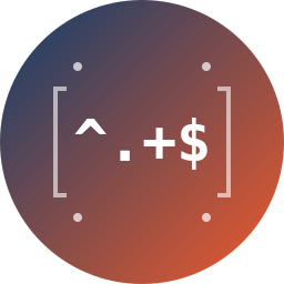 Regex Validation for Gravity Forms logo