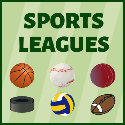 AnWP Sports Leagues – Basketball, Ice Hockey, Handball, Rugby & More logo