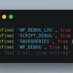 WP Debugging logo